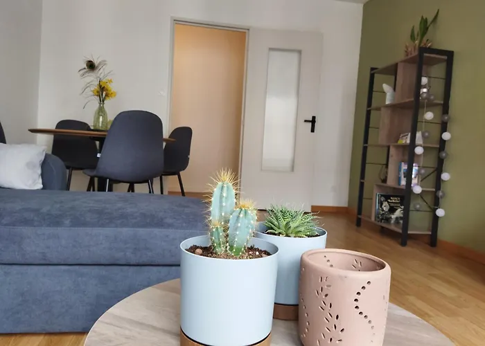 Meuble Du Plateau - Nancy Centre Gare Tgv Appartement foto