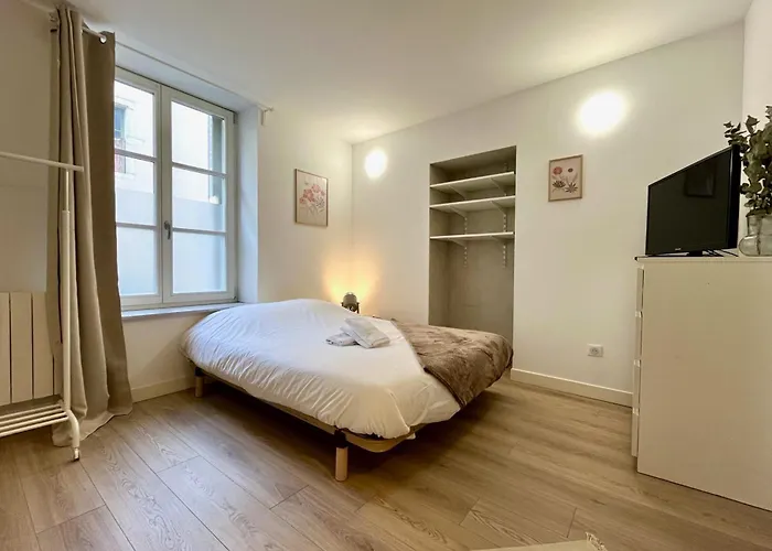 foto di Le Studio Ste Anne Plein Centre Avec Lave Linge Nancy